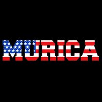 Limited Edition Murica Fourth of July USA Flag Wool Snapback Cap