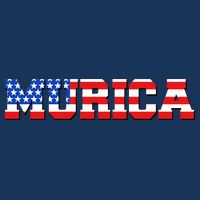 Limited Edition Murica Fourth of July USA Flag 16 in Basic Backpack