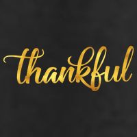 Limited Edition Thankful Thanksgiving Gold Print Adult Drive Performance Visor