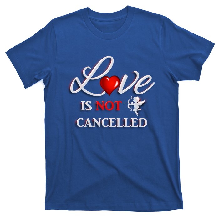 Love Is Not Cancelled Gift Happy Valentines Day Gift T-Shirt