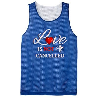 Love Is Not Cancelled Gift Happy Valentines Day Gift Mesh Reversible Basketball Jersey Tank