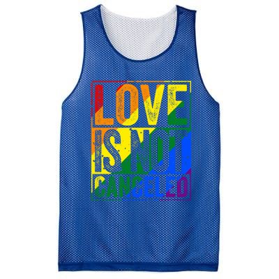 Love Is Not Canceled Gift Funny Dating Gift Mesh Reversible Basketball Jersey Tank