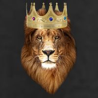 Lion Gold Crown King Of The Jungle Adult Drive Performance Visor