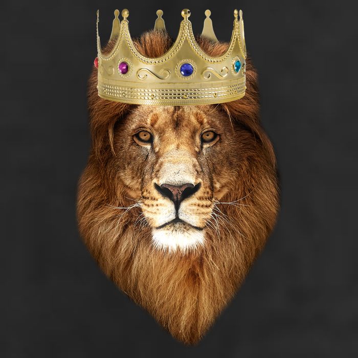 Lion Gold Crown King Of The Jungle Adult Drive Performance Visor