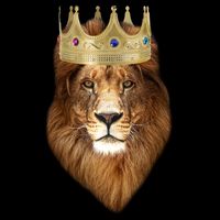 Lion Gold Crown King Of The Jungle 16 in Basic Backpack