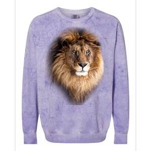 Lion Head Graphic Colorblast Crewneck Sweatshirt