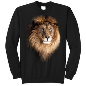 Lion Head Graphic Sweatshirt