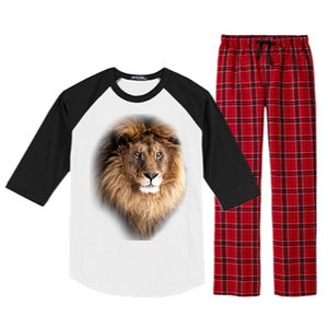 Lion Head Graphic Raglan Sleeve Pajama Set