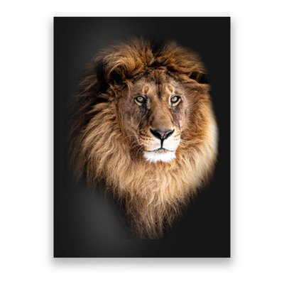 Lion Head Graphic Poster