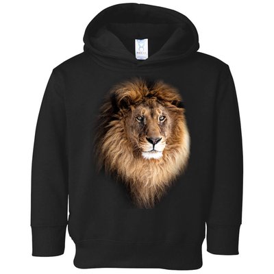 Lion Head Graphic Toddler Hoodie