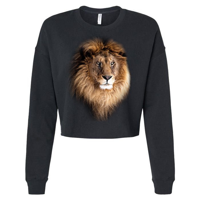 Lion Head Graphic Cropped Pullover Crew