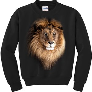 Lion Head Graphic Kids Sweatshirt