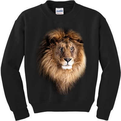 Lion Head Graphic Kids Sweatshirt