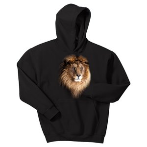 Lion Head Graphic Kids Hoodie