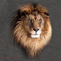 Lion Head Graphic Vector Backpack