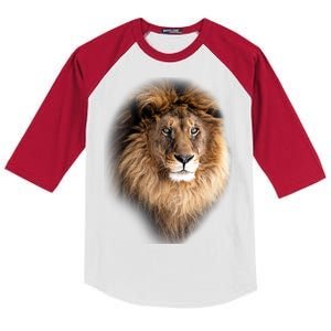 Lion Head Graphic Kids Colorblock Raglan Jersey