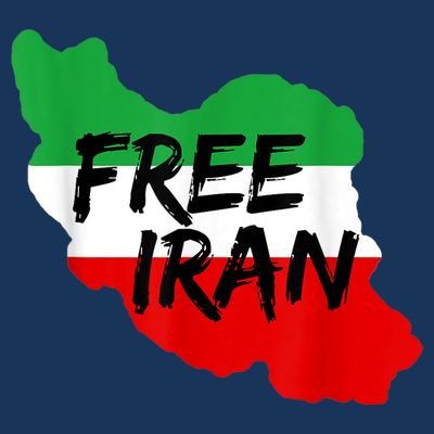 Love Iran Persian Freedom Free Iran T-Shirt