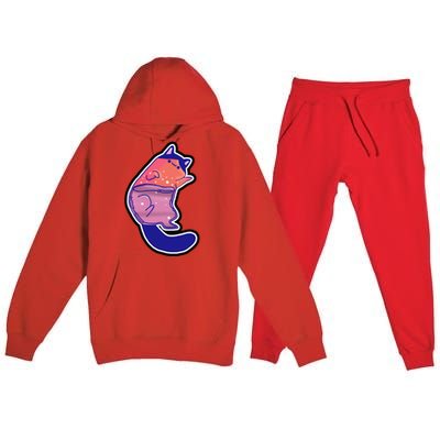 Liquid Cat Premium Hooded Sweatsuit Set