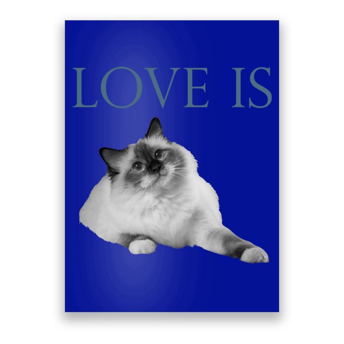 Love Is Ragdoll Cat Gift Poster