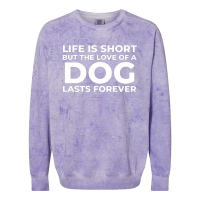 Life Is Short But The Love Of A Dog Lasts Forever Colorblast Crewneck Sweatshirt