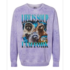 Life Is Soup I Am Fork Funny Raccoon Absurd Meme Colorblast Crewneck Sweatshirt