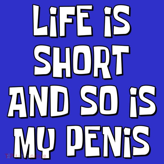 Life Is Short And So Is My Penis Funny Womens T-Shirt