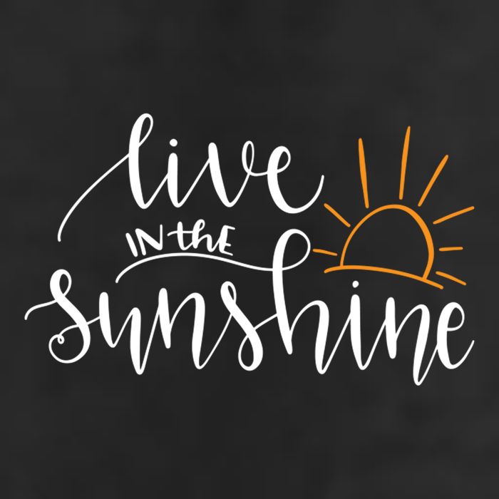Live In The Sunshine Adult Drive Performance Visor