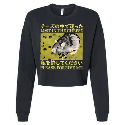 Lost In The Cheese Please Forgive Me Cropped Pullover Crew