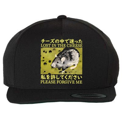 Lost In The Cheese Please Forgive Me Wool Snapback Cap