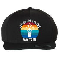 Litterfree Is The Way To Be DonT Litter Earth Day Recycle Stop Littering Wool Snapback Cap
