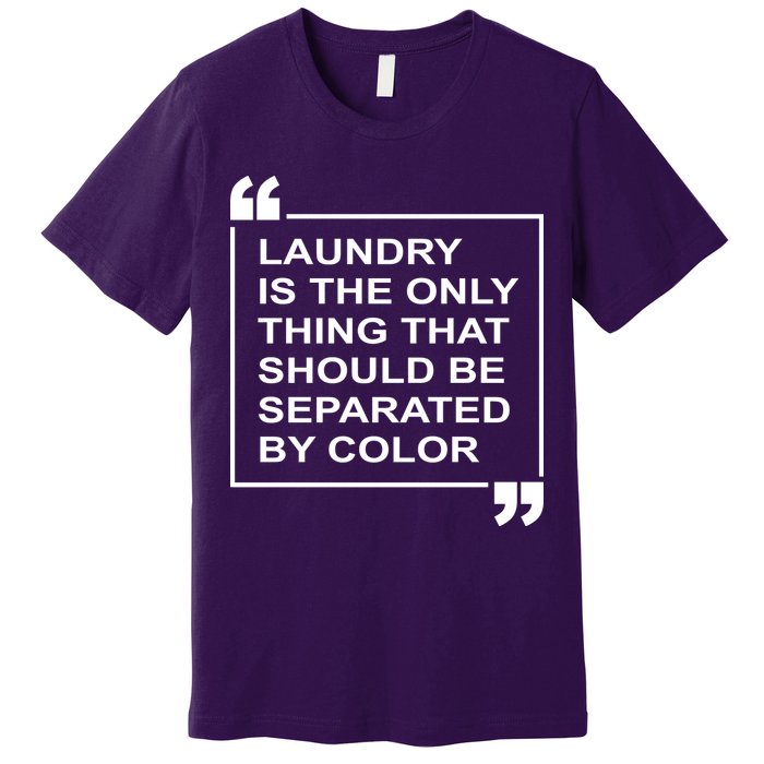 Laundry Is The Only Thing That Should Be Separated By Color Premium T-Shirt