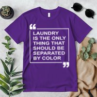 Laundry Is The Only Thing That Should Be Separated By Color Premium T-Shirt