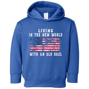 Living In The New World With An Old Soul America Flag Toddler Hoodie