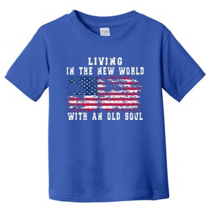 Living In The New World With An Old Soul America Flag Toddler T-Shirt