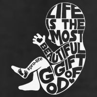 Life Is The Most Beautiful Of God ProLife Saves Lives Adult Drive Performance Visor