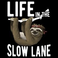 Life In The Slow Lane Funny Sloth Lover Meaningful Gift Bucket Hat