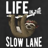 Life In The Slow Lane Funny Sloth Lover Meaningful Gift 11oz C Handle Ceramic Mug