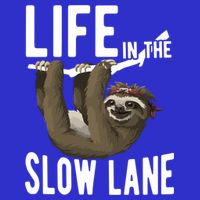 Life In The Slow Lane Funny Sloth Lover Meaningful Gift 16 in Basic Backpack