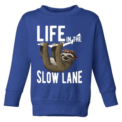 Life In The Slow Lane Funny Sloth Lover Meaningful Gift Toddler Sweatshirt