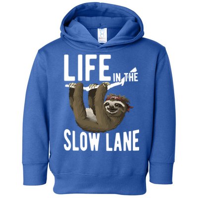 Life In The Slow Lane Funny Sloth Lover Meaningful Gift Toddler Hoodie