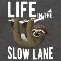 Life In The Slow Lane Funny Sloth Lover Meaningful Gift Vector Backpack