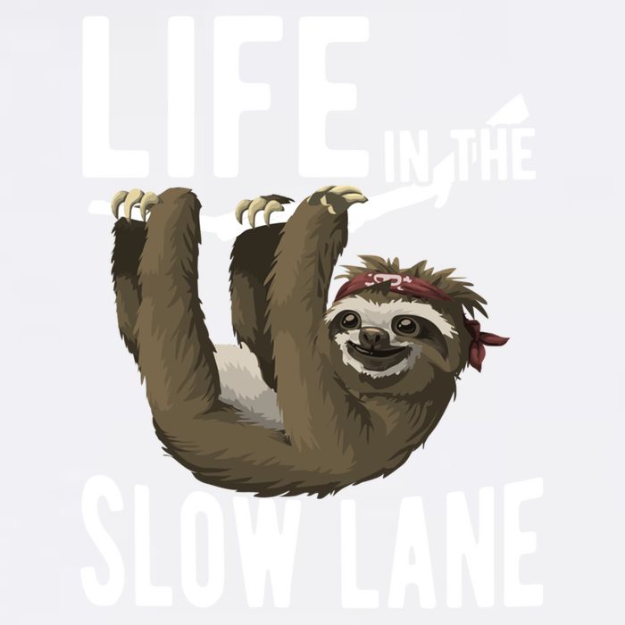 Life In The Slow Lane Funny Sloth Lover Meaningful Gift Garment-Dyed Sweatshirt