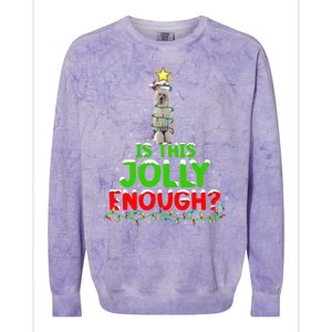 Lighting Is This Jolly Enough Standard Poodle Christmas Tree Gift Colorblast Crewneck Sweatshirt