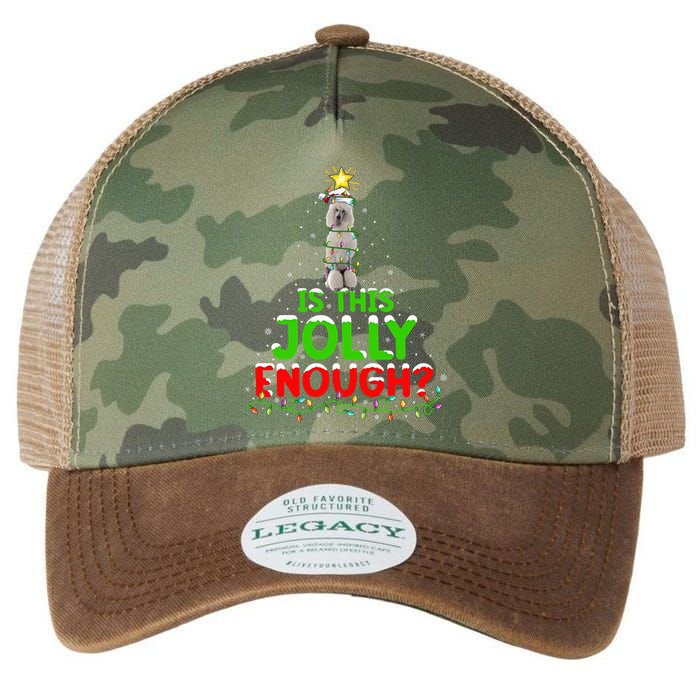Lighting Is This Jolly Enough Standard Poodle Christmas Tree Gift Legacy Tie Dye Trucker Hat