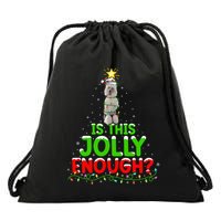 Lighting Is This Jolly Enough Standard Poodle Christmas Tree Gift Drawstring Bag