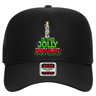 Lighting Is This Jolly Enough Standard Poodle Christmas Tree Gift Trucker Hat