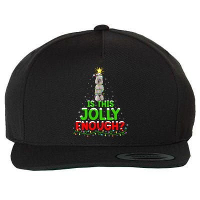 Lighting Is This Jolly Enough Standard Poodle Christmas Tree Gift Wool Snapback Cap