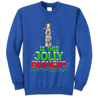 Lighting Is This Jolly Enough Standard Poodle Christmas Tree Gift Tall Sweatshirt