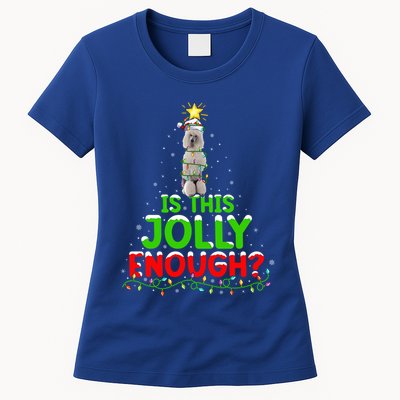 Lighting Is This Jolly Enough Standard Poodle Christmas Tree Gift Womens T-Shirt
