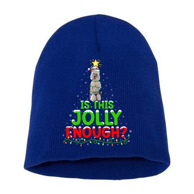 Lighting Is This Jolly Enough Standard Poodle Christmas Tree Gift Short Acrylic Beanie